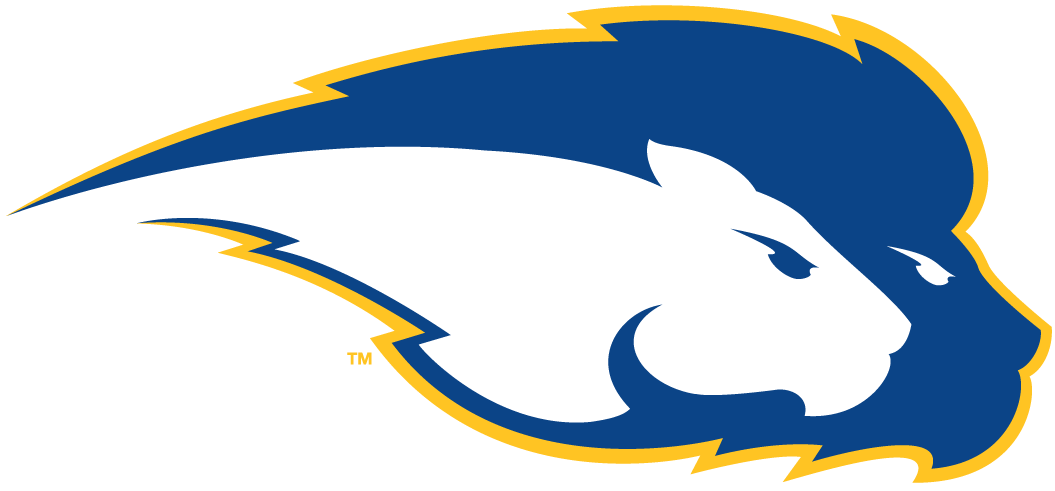 Hofstra Pride 2005-Pres Secondary Logo iron on transfers for clothing